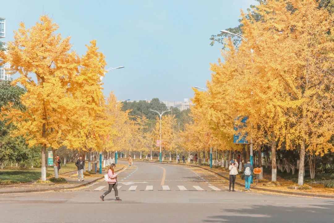 高考顺利！欢迎你来重庆，续写与重大的未来故事