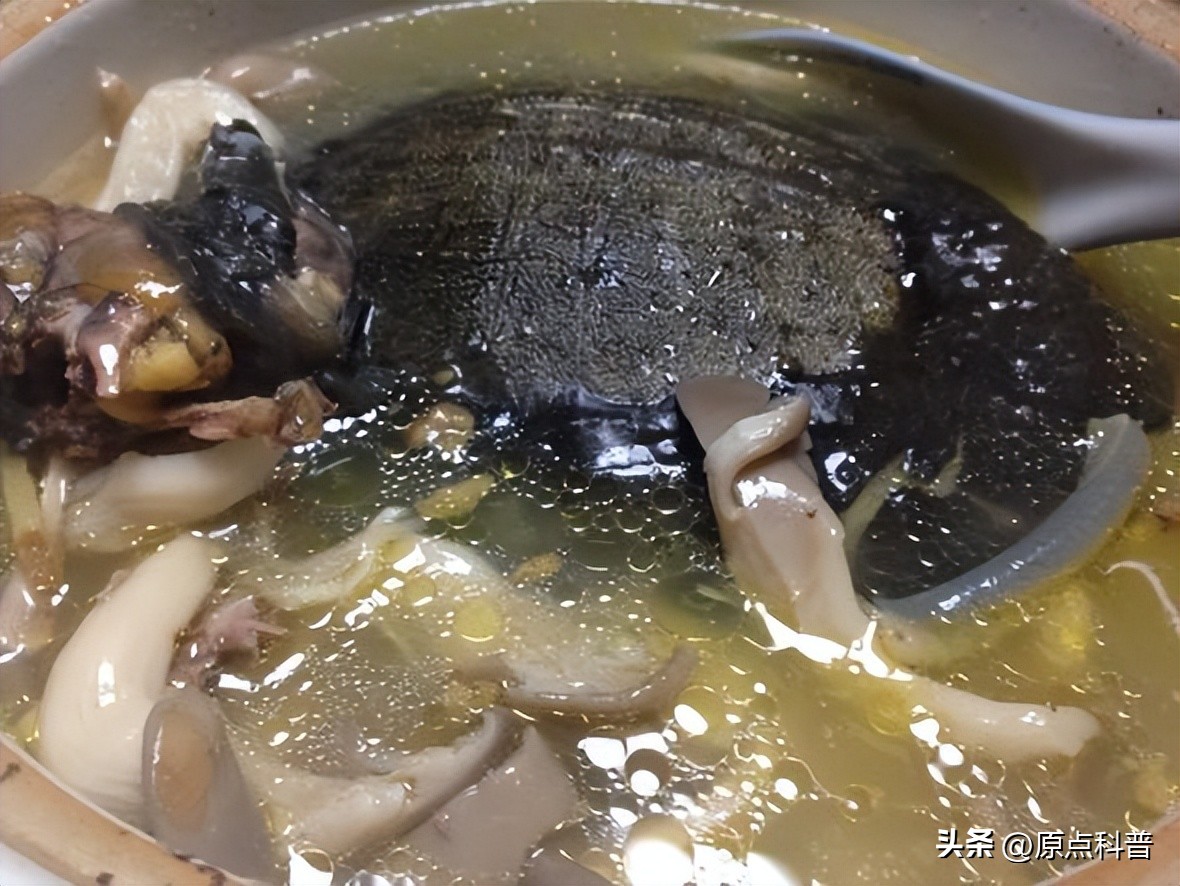 中国十禁名菜,十道禁忌名菜