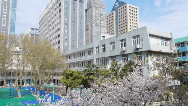 南京市第九中学是几星高中,南京市中桥中学和南京市第九中学