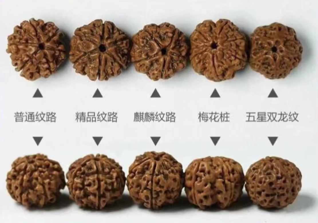 大金刚与落地红的区别,怎么区分落地红和金刚的区别