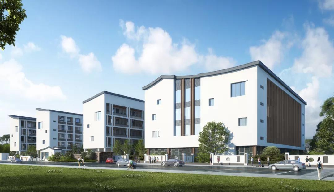 金湾学校最新消息,金湾新学校