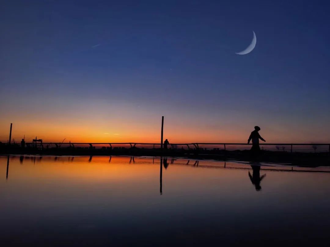 看过这些“珍藏”,小编被治愈了……