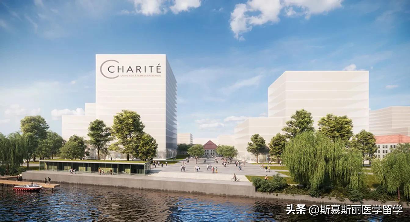 德国柏林查理特医科大学，Charité医学博士offer