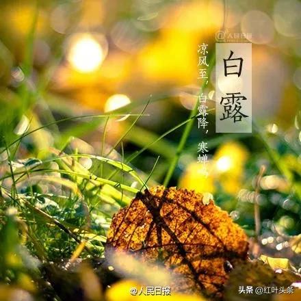 《卦里藏诗》之三.姜保坤