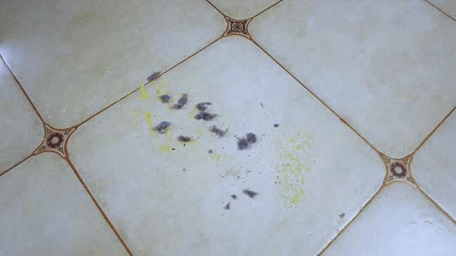 闭眼抄作业：七款「除了贵，什么都好」的品质家电推荐