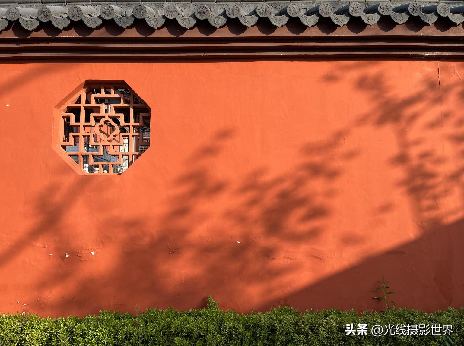 永川茶山竹海今年国庆免门票吗,2022国庆节永川茶山竹海攻略