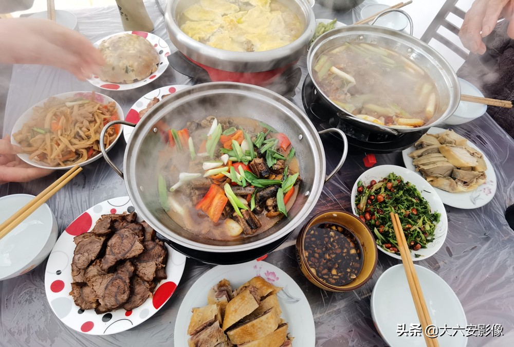 六安洞庭湖甲鱼,六安纯野生甲鱼