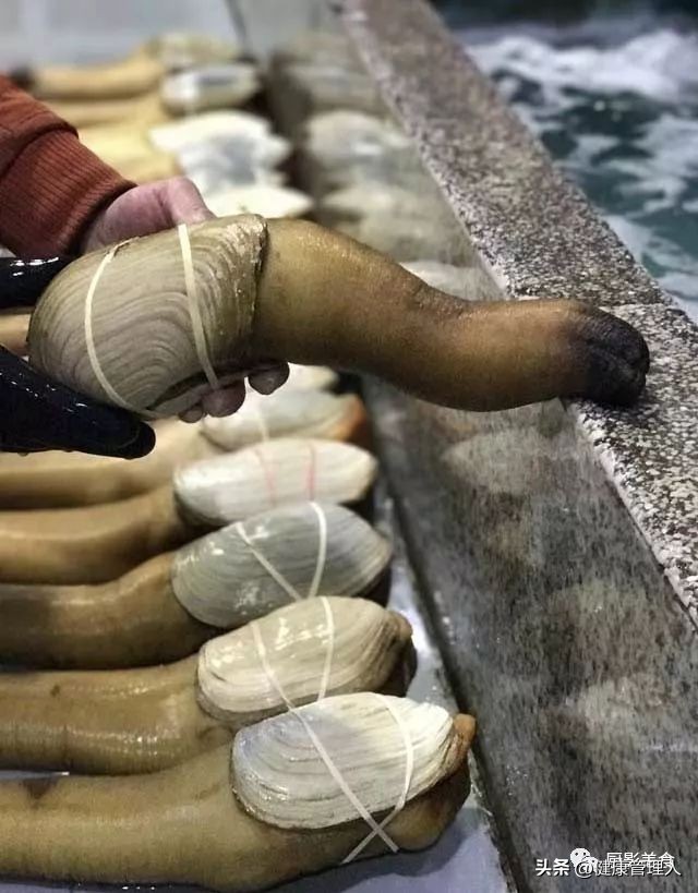 海鲜贝类品种大全及名字,22种海鲜贝类做法大全