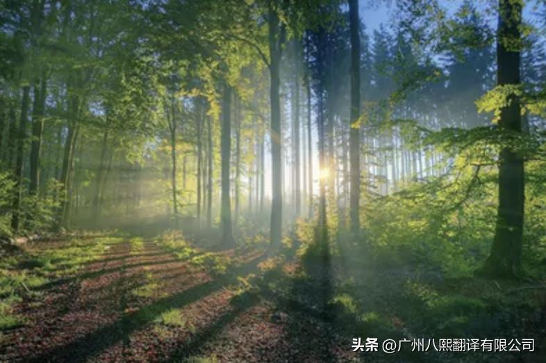 房产证翻译公证办理流程,苏州市房产证翻译模板