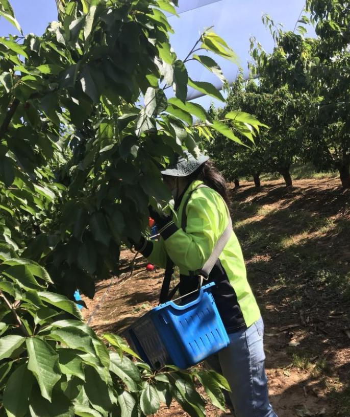 出国打工回国的感受,出国留学打工的真实感受