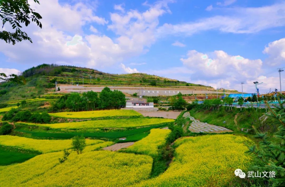 中国十大魅力之城——天水欢迎您来打卡千山万水就爱天水魅力五月打卡十有武山——,四马年村