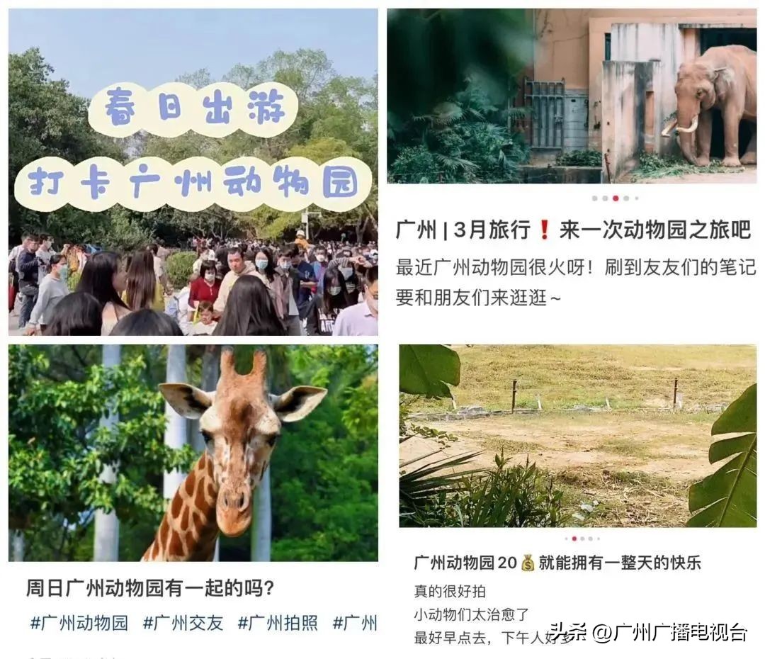 五一假期广东迎客人次,广东五一旅游人次