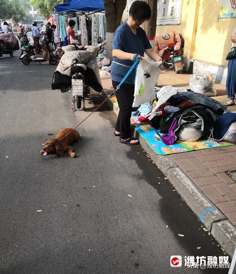 农贸市场“慢”游记⑩：新华乙巷早市，潍坊人的超长版“菜篮子”！
