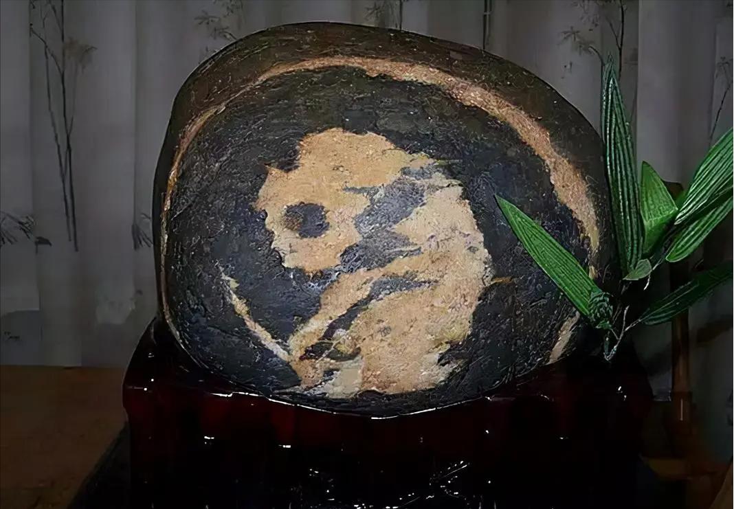 河沟捡熊猫奇石,捡到国宝熊猫奇石