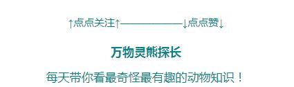 还敢随便杀蛇吗？被砍下的蛇头还能咬人，难道蛇死了还会*仇报**？