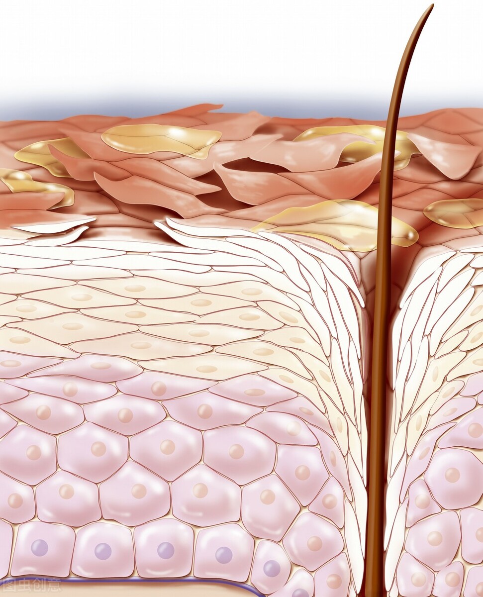 洗澡搓下来的是泥还是死皮,洗澡正确洗法和时间