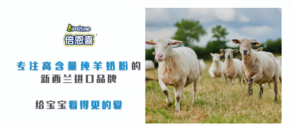 倍恩喜羊奶粉800g,倍恩喜全羊奶粉