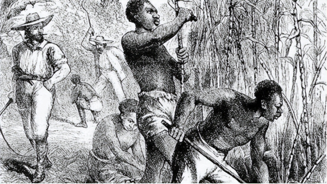 日本的地震前反常现象,揭秘日本地震来临有哪些应对措施