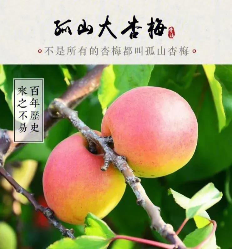 丹东东港旅游攻略自由行,丹东避暑游玩的地方推荐