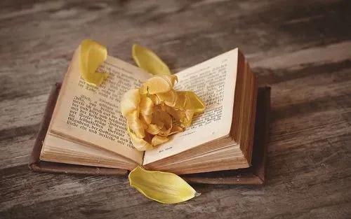 舞者电影正片,舞者刘福洋