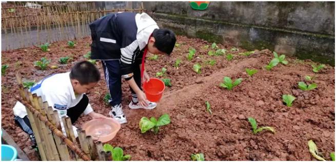 井研县集益小学,井研研城小学课后服务费