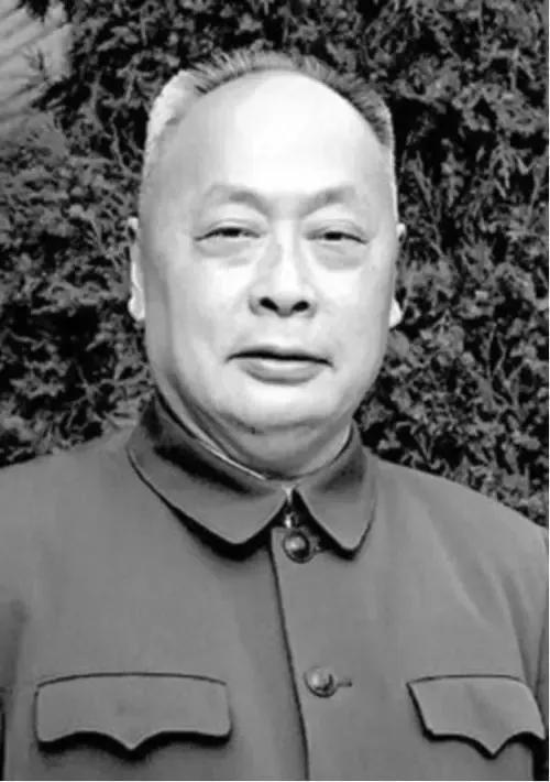 陈老总打的败仗不少，政工水准也不及罗帅，为何元帅排名却高一位