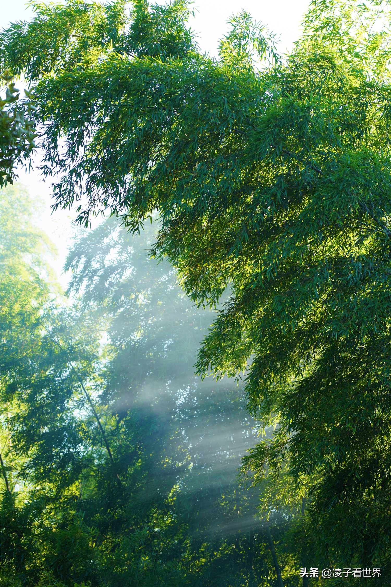 邵武云灵山漂流需要带什么,邵武云灵山漂流多长