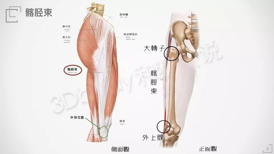 膝关节外侧疼痛的简单自我判断图,膝关节外侧疼痛是怎么回事