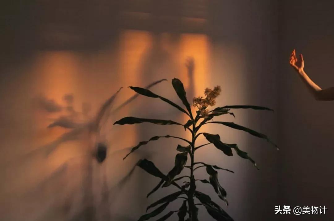 冷淡才是最高级的情商,真正高情商的人都是一个冷淡的人