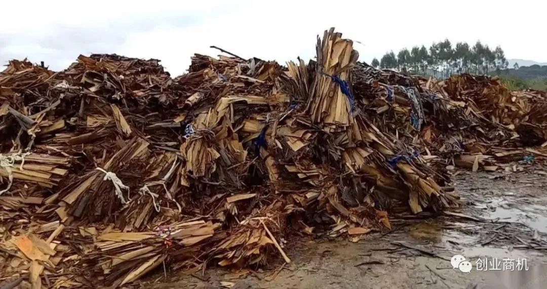 利润很吓人10个冷门致富项目,一年赚15万冷门项目是什么