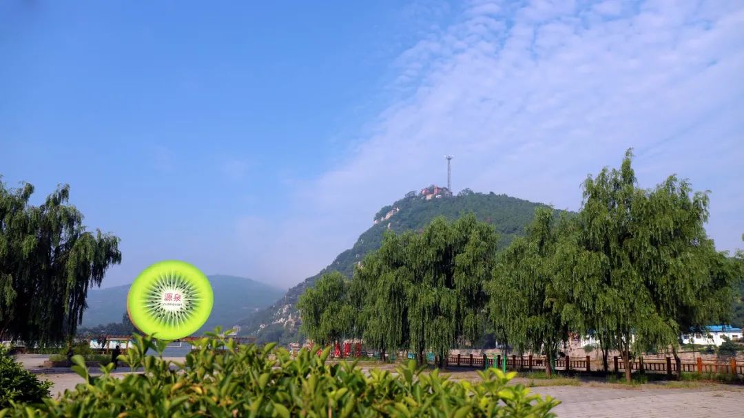 原汁原味的猕猴桃,云雾山原汁原味香甜可口的猕猴桃