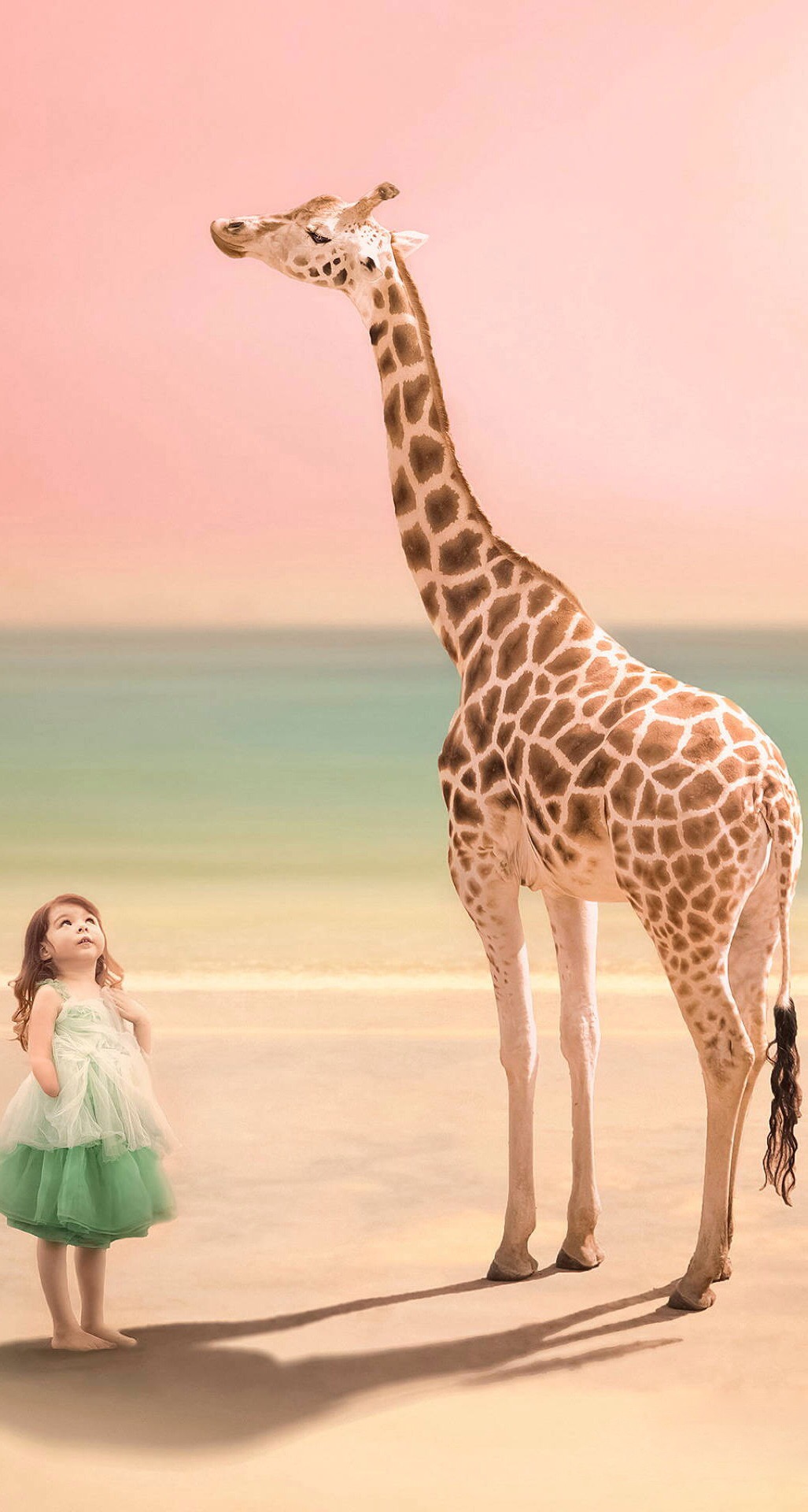 浅色壁纸高清图片花,超仙闺蜜壁纸动漫紫色和粉色