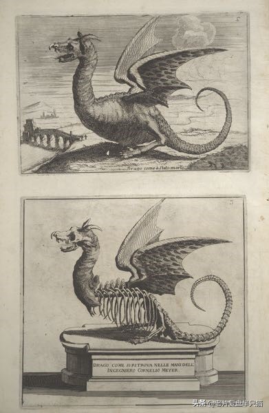 哥斯拉20个泰坦解析,哥斯拉2泰坦巨兽彩蛋