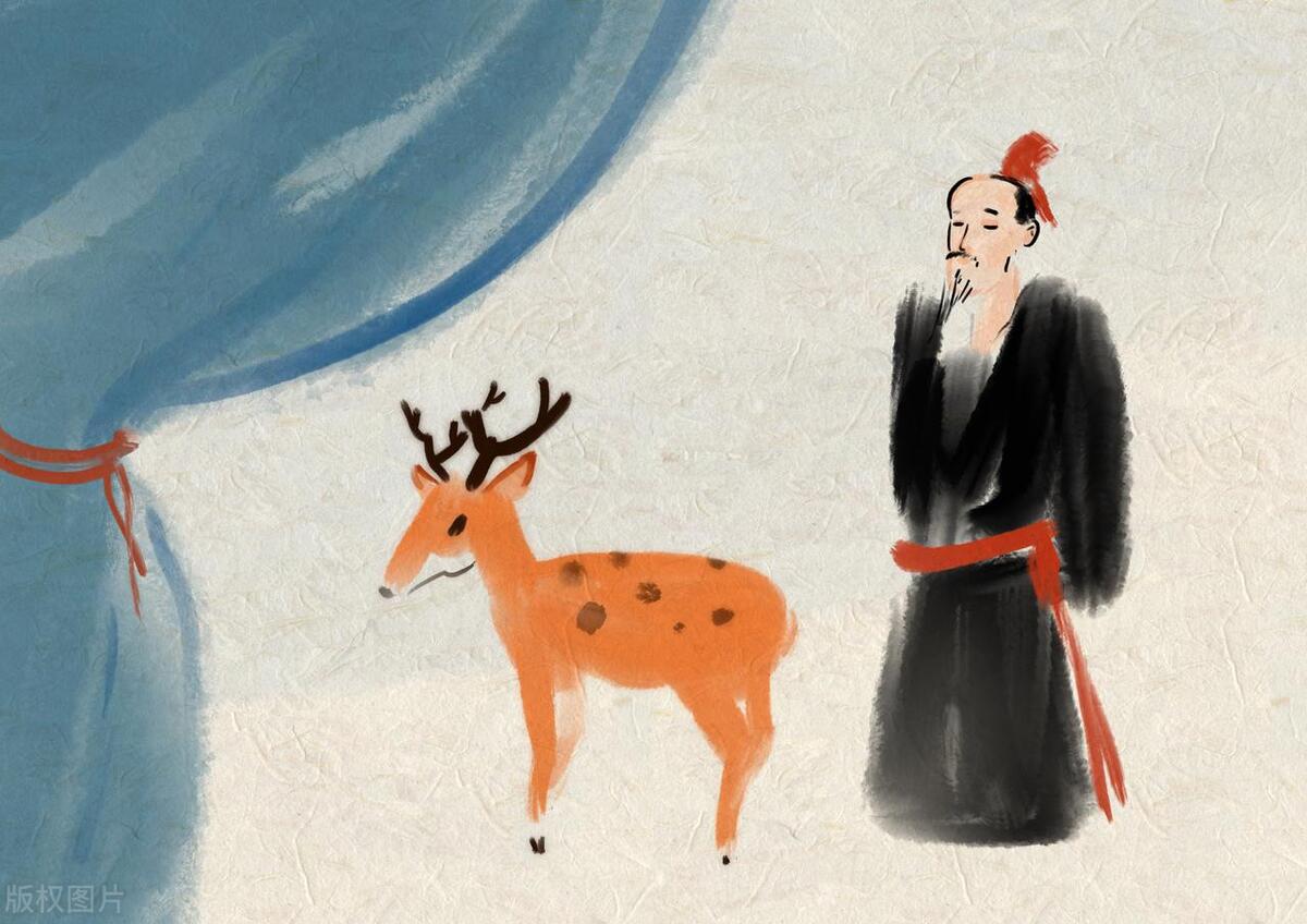 明股实债违规吗,名股实债还是明股实债