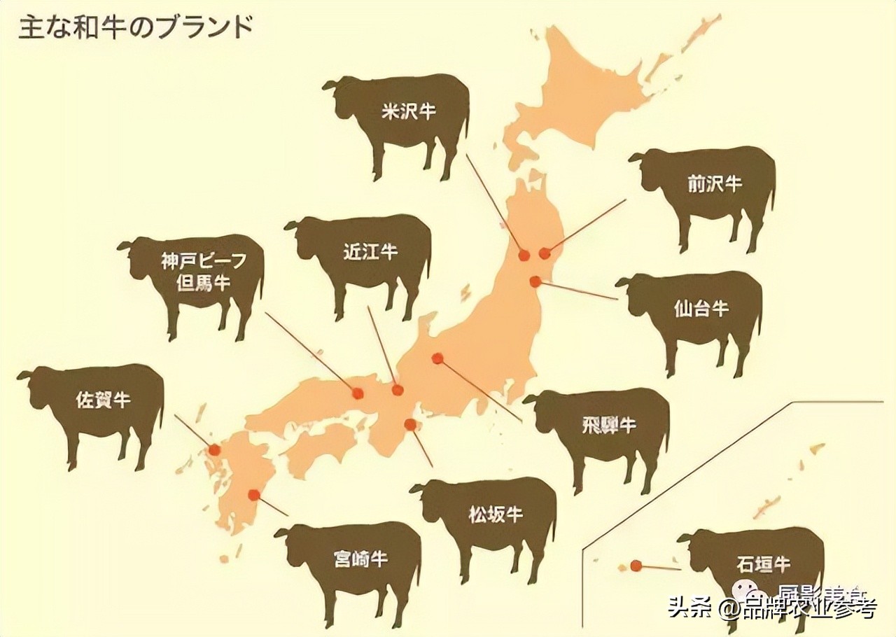 日本和牛和国内卖的和牛有啥区别,日本顶级和牛了解一下