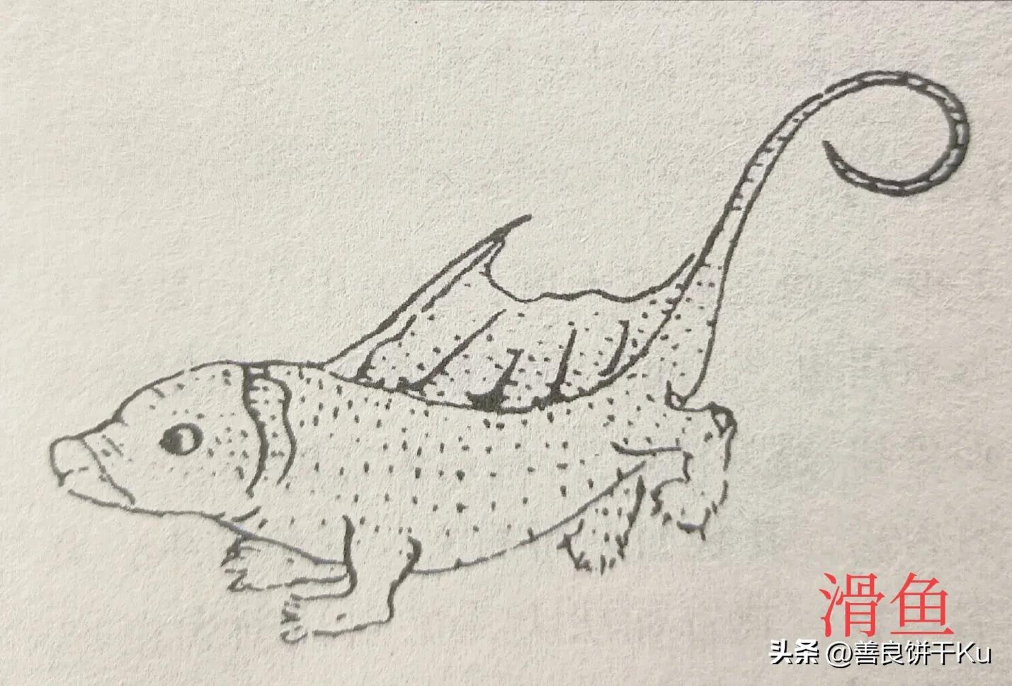 西次三经解读,西次三经什么意思