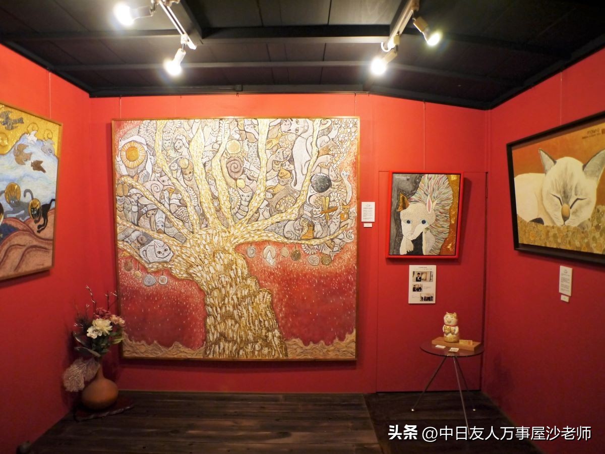 打卡猫猫寺,打卡猫咪宠物馆