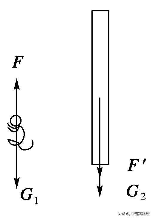 初中物理八年级上册参照物题目,初中物理参照物选择的原则