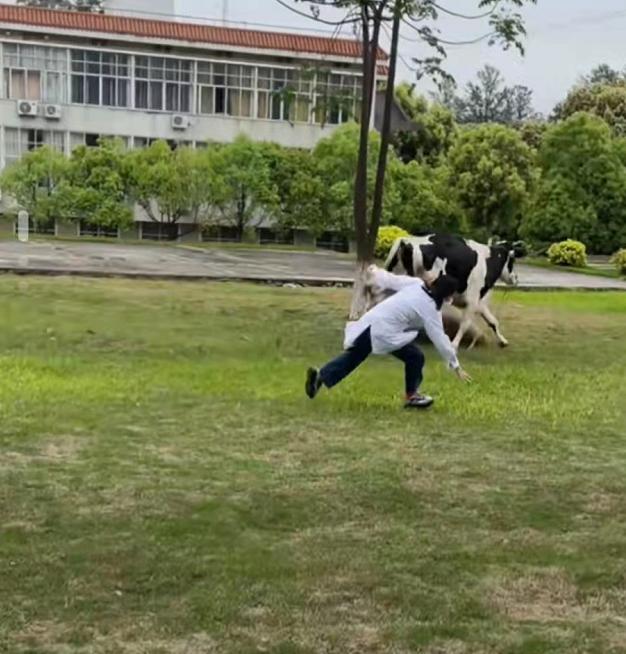 谁的毕业论文在乱跑啊,谁的毕业论文在乱跑