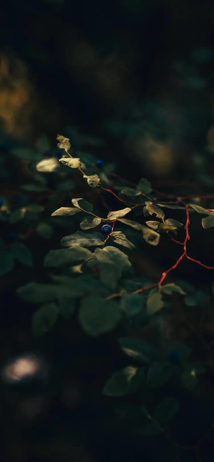 超高清海洋沙滩风景壁纸全屏,湛蓝的海水海滩风景高清壁纸