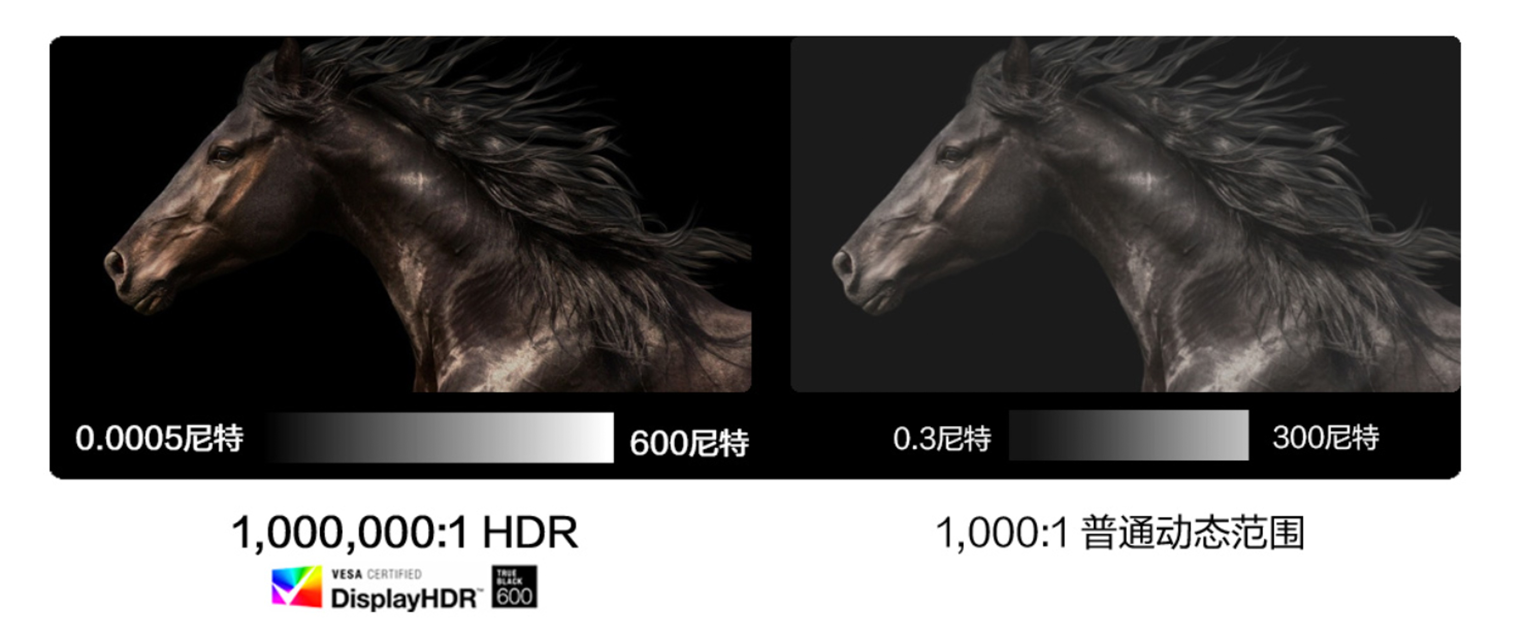 a4纸大小的笔记本尺寸,华硕灵耀x13轻薄本怎样