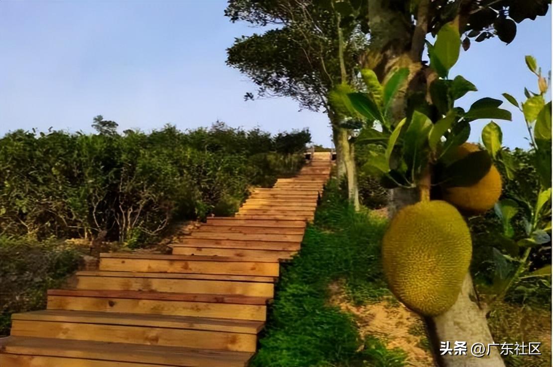 春季国内观鸟热门地,这份观鸟地图请收好