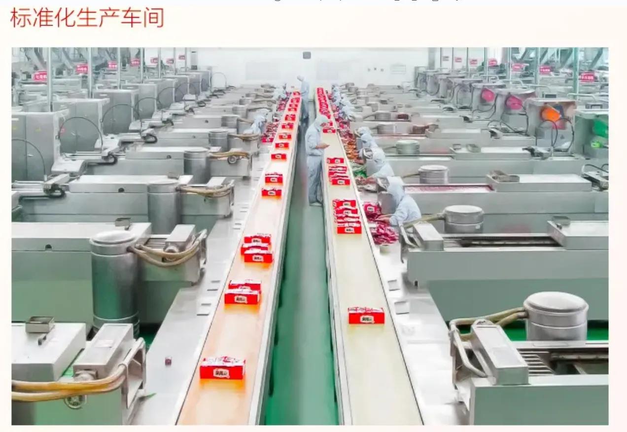 卫龙的制造工厂,卫龙官方生产线