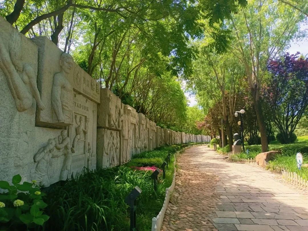 最美秦皇岛视频,用脚步丈量城市42.195公里