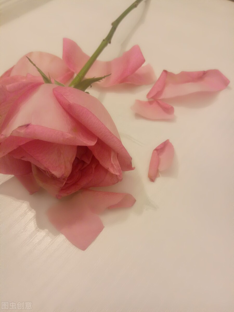 那些失去后才懂得珍惜的文案,拥有时不珍惜失去了才后悔的文案