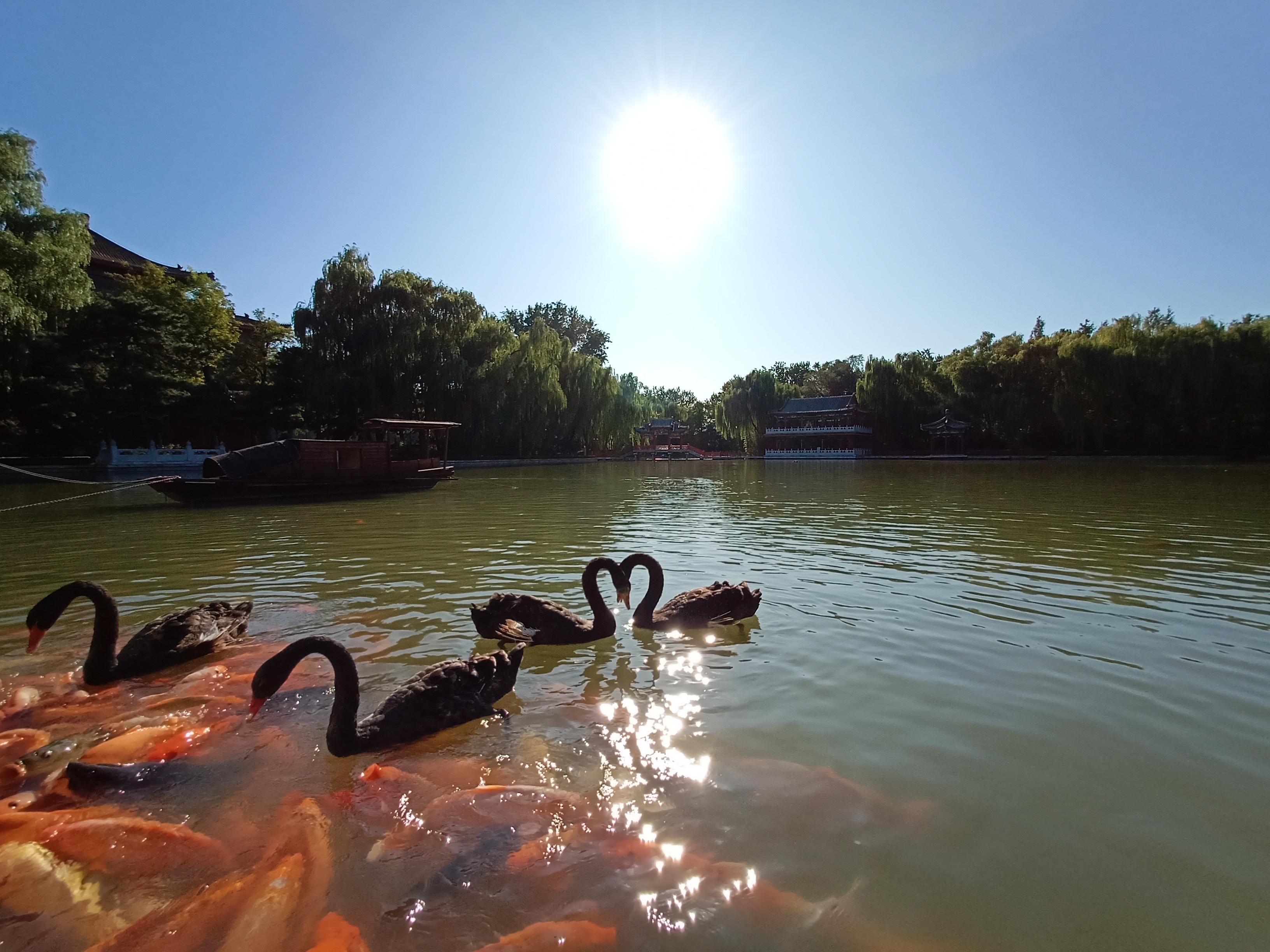 人在画中游图片,人在画中游视频大全