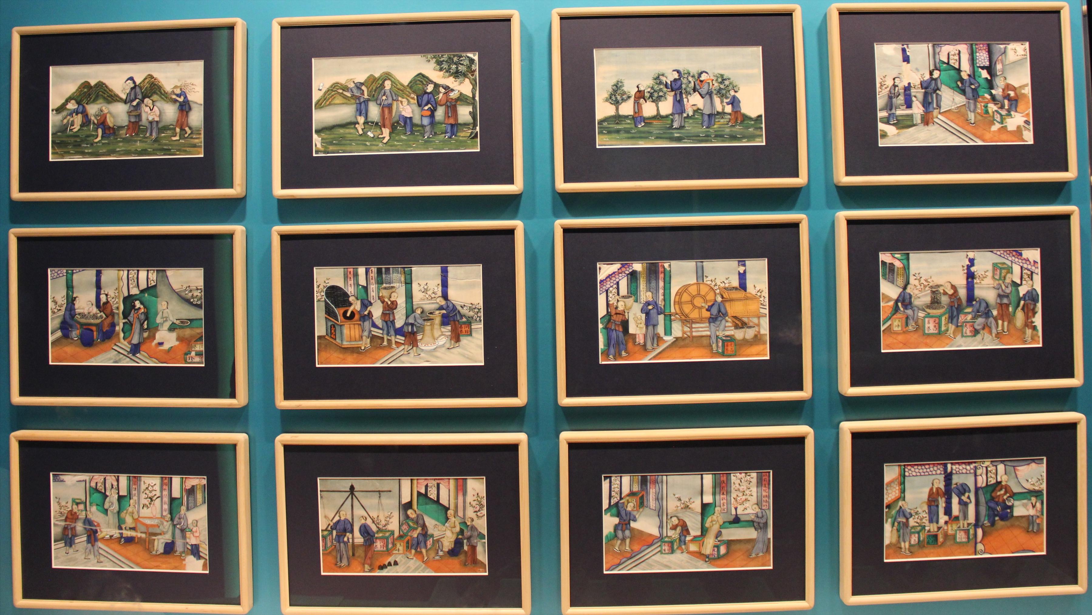 19世纪西方人钟爱的东方“明信片”，居然是画在植物上的