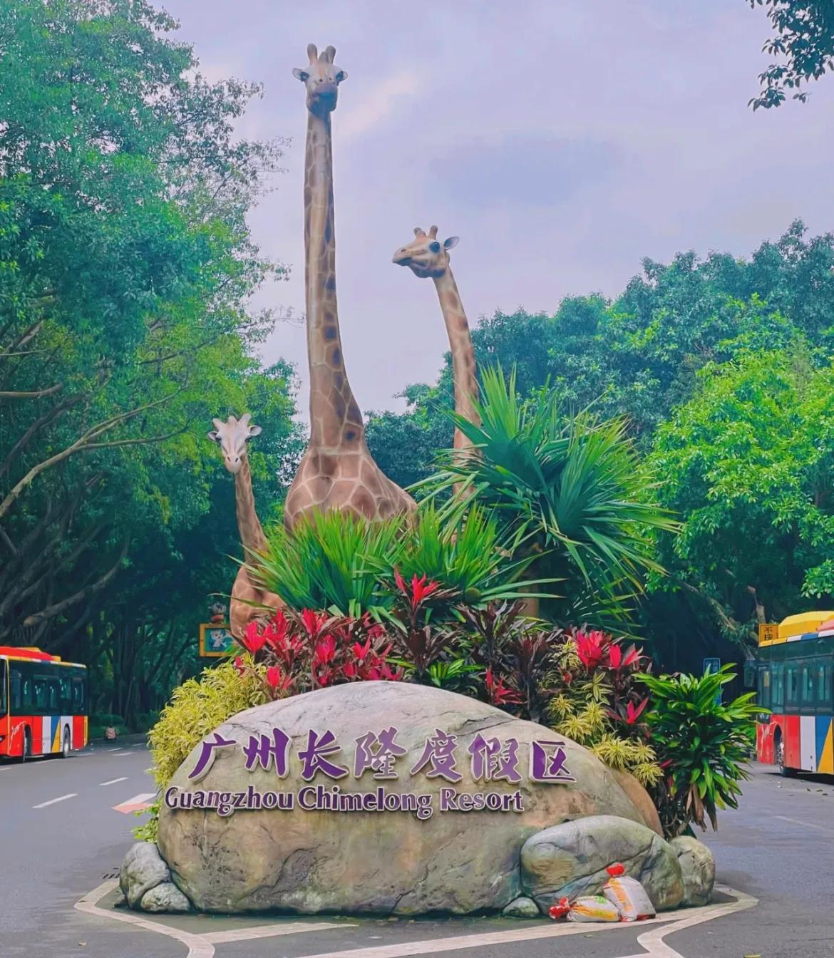 广州长隆和珠海长隆哪个值得去,广州长隆和珠海长隆的区别是什么