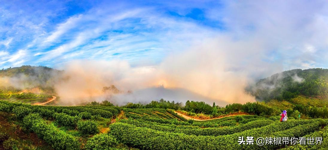 宁德大黄鱼之乡攻略,霞浦大黄鱼之乡图片