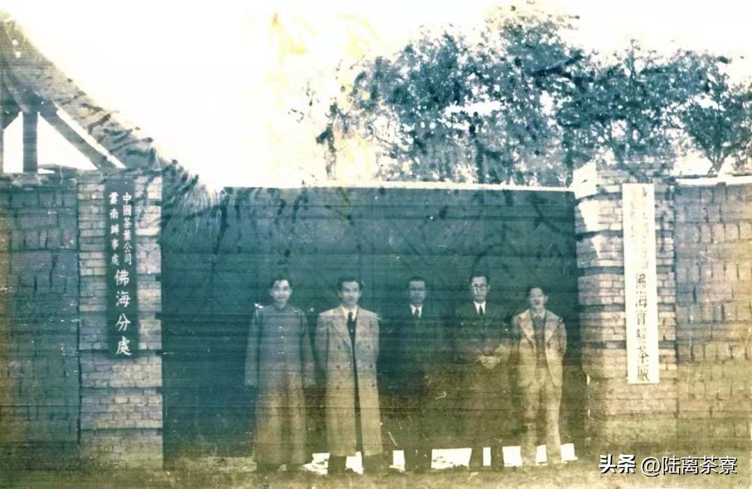 乾利贞普洱茶,乾利贞宋聘号状元春茶